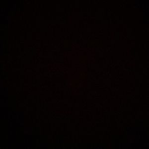 Meet your Posher, Bryce